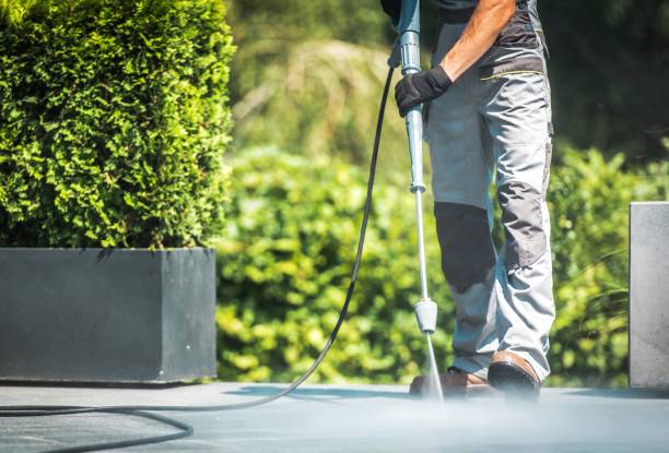 Best Dumpster Area Cleaning  in Bronson, FL